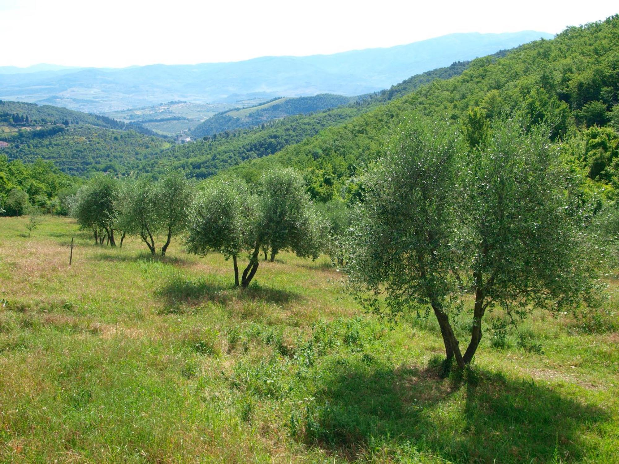 Casignano Bed and Breakfast Bagno a Ripoli Δωμάτιο φωτογραφία